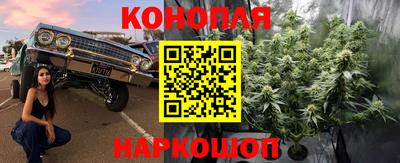прущие крисы Будённовск