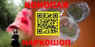 крисы Магадан