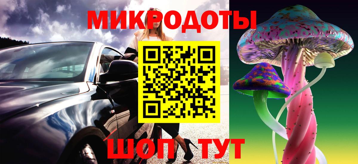 Галлюциногенные грибы MAGIC MUSHROOMS Курчалой
